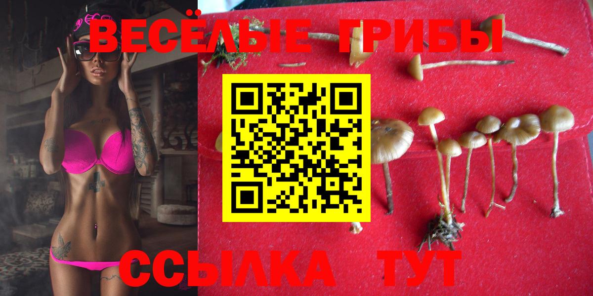 Галлюциногенные грибы MAGIC MUSHROOMS  Вход с VPN  Коммунар 